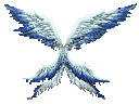 Wing of Vortex